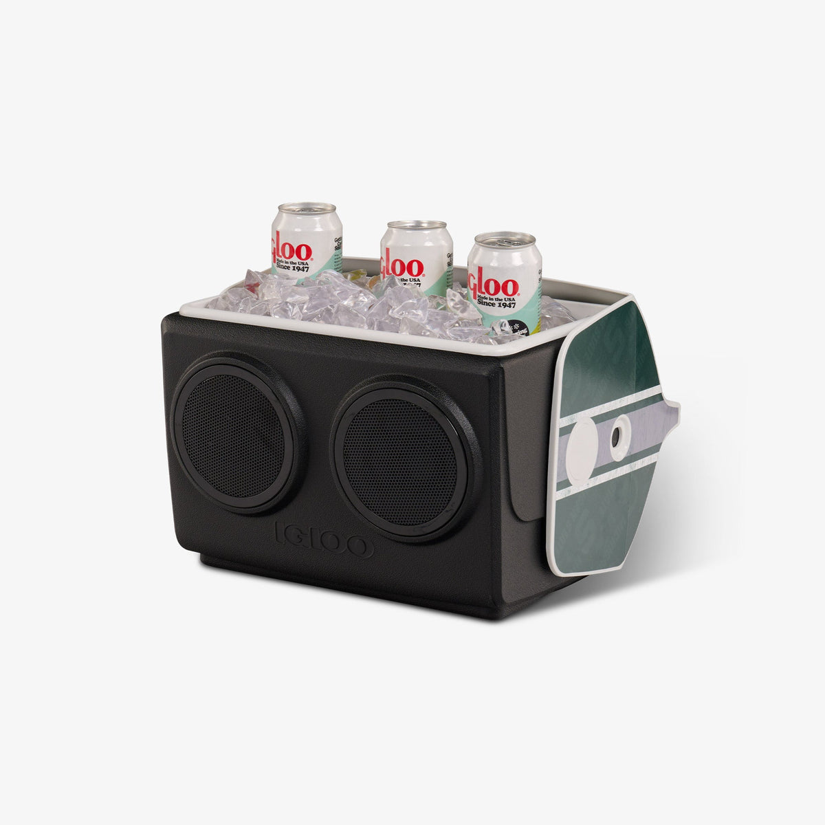 michigan-state-university-kooltunes-n4 00027730-P1.jpg