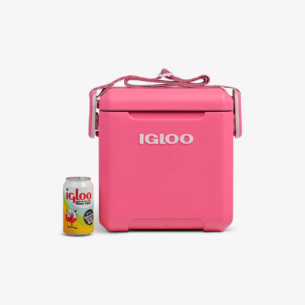 tag-along-too-remix-cooler-f5 00033199-P_861a5cd2-f15c-4217-a471-e33cc3890d9e.jpg