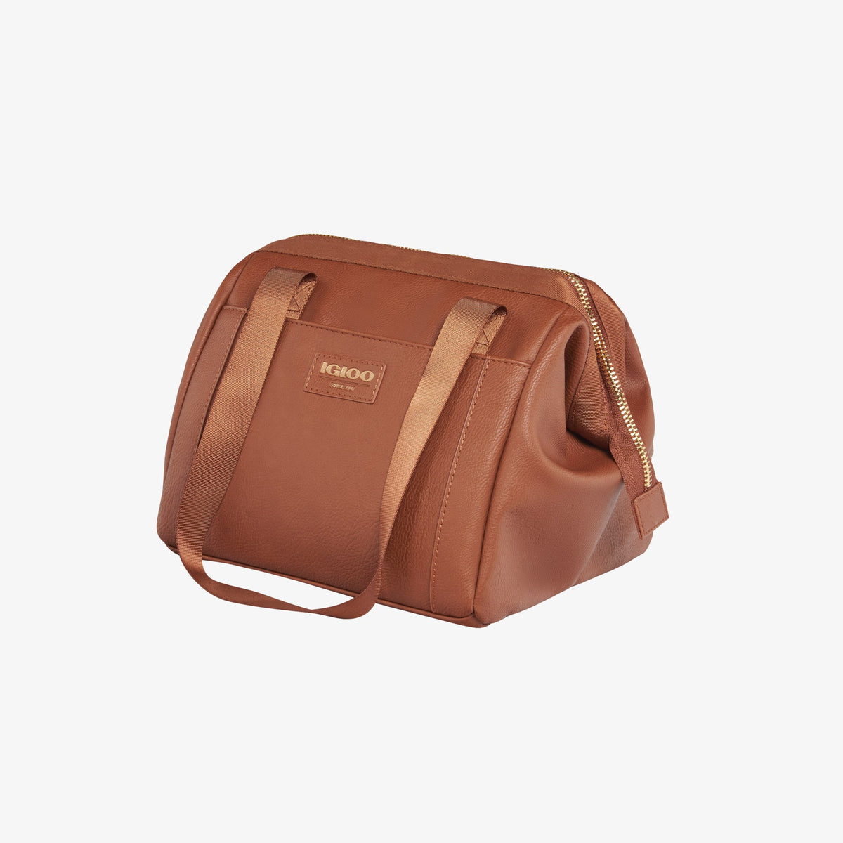 igloo-luxe-lunch-tote-cooler-bag-d4 00061160_2.jpg