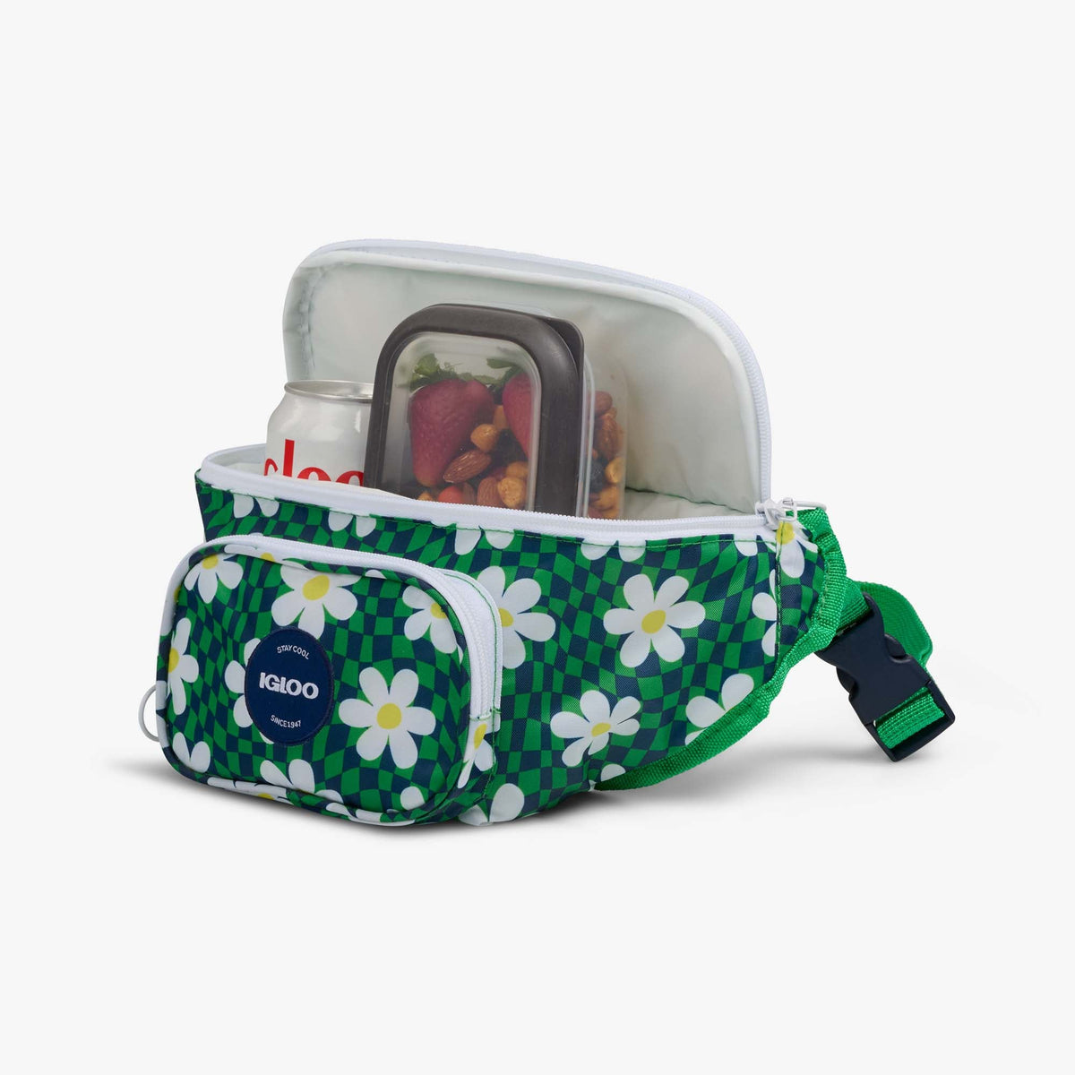 retro-fanny-pack-g5 00067206-P1.jpg